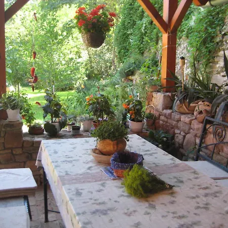 Homestay Lindentree-harmony