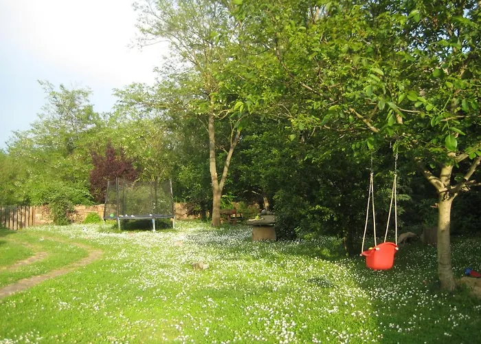 Homestay szállás Lindentree-harmony